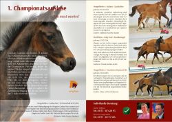 Erste Championatsauslese –  Auktion der Spitzenfohlen beim DSP-Fohlenchampionat am 19. Juli in Neustadt (Dosse)