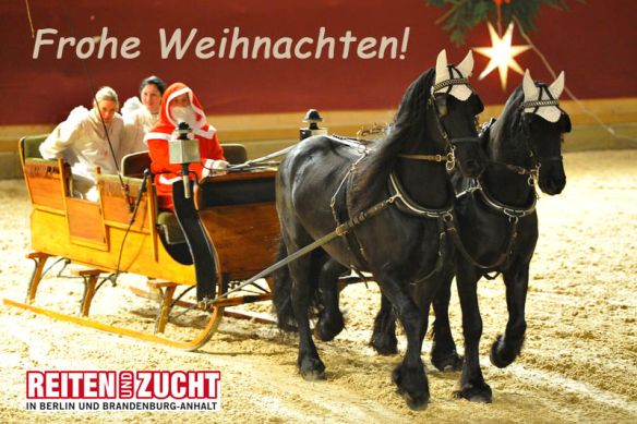 Frohe Weihnachten und ein gesundes Neues Jahr!