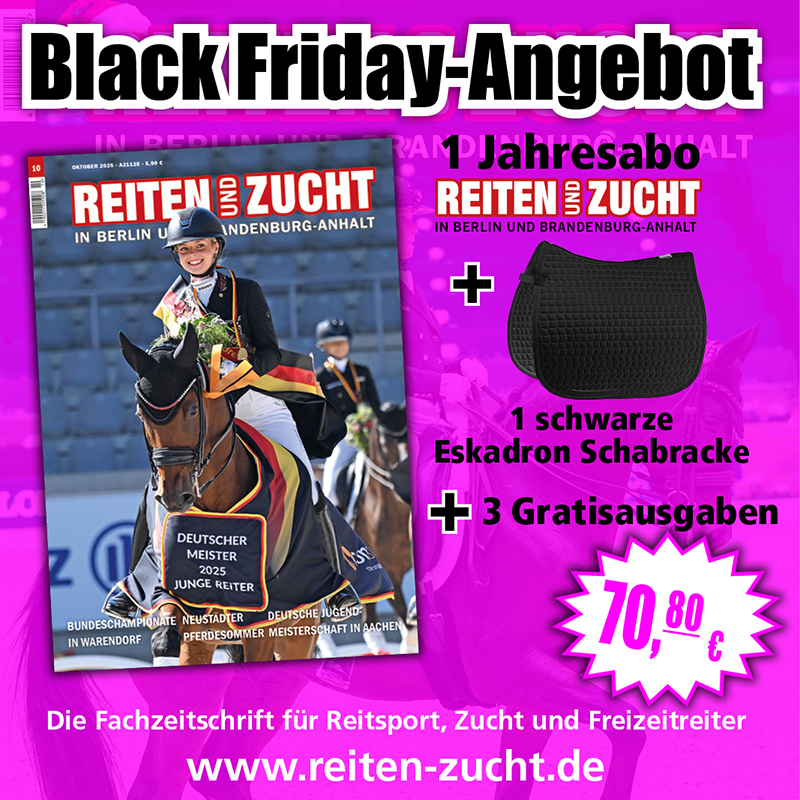 Black Friday-Deal